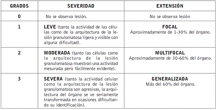 Documento sin título