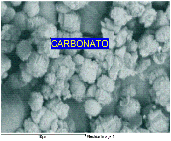 Resultado de imagen para descomposicion de carbonato